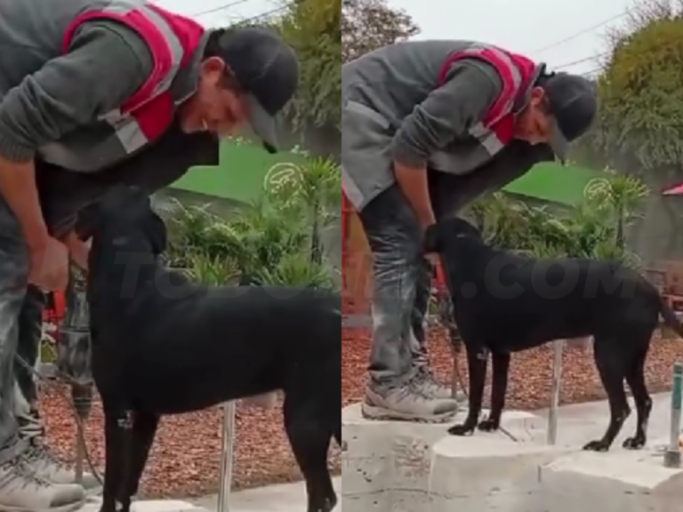 🔴 RESISTENCIA | Un beso entre un perro y un escultor emocionó al público en la Bienal