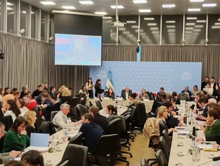 Inocencia Fiscal II: oficialismo abrió el debate y el Ejecutivo remarcó que “no hay modificación penal”