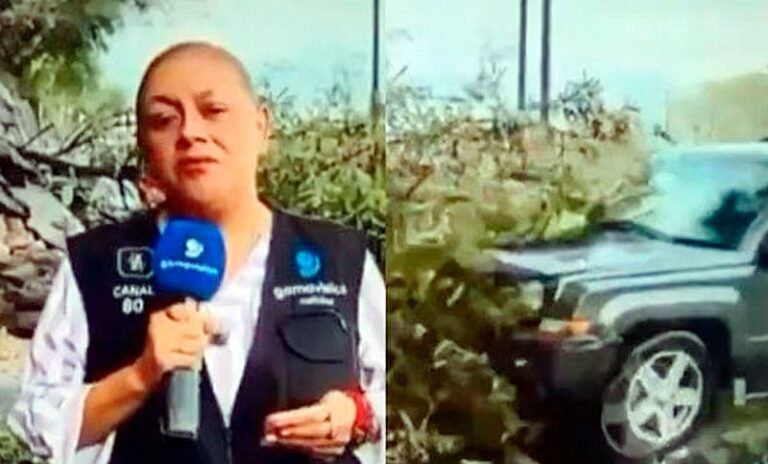 Estremecedor siniestro en vivo: atropellaron a una cronista y a su camarógrafo mientras salían al aire en México