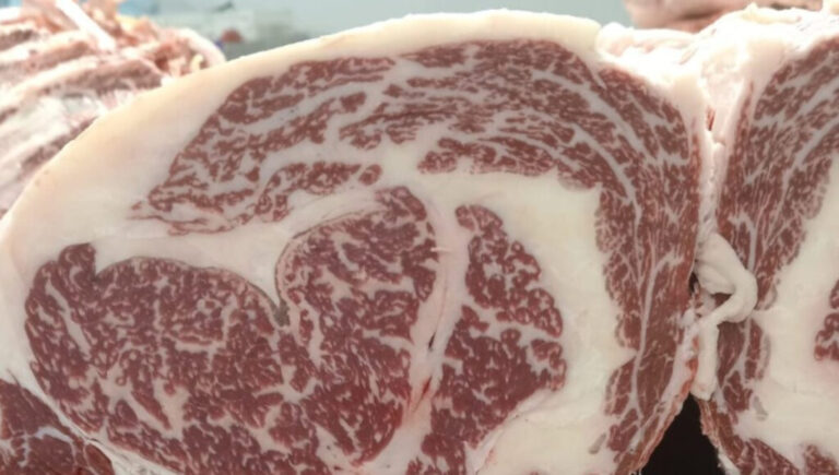 Un frigorífico de General Pacheco quiere dedicarse a la carne más cara del mundo: un kilo cuesta hasta $160.000